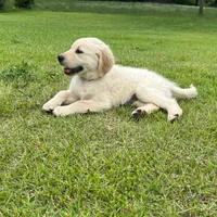 processed/4004ae9b-7163-4a90-86b9-ac7768e440f4/facility/618d360c-eb2d-4f93-91cd-a217f1dbb4e3