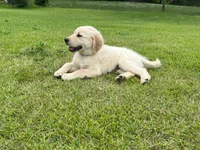 processed/4004ae9b-7163-4a90-86b9-ac7768e440f4/facility/618d360c-eb2d-4f93-91cd-a217f1dbb4e3