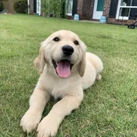 processed/4004ae9b-7163-4a90-86b9-ac7768e440f4/facility/64a4e09a-67a3-4b65-af52-9fc54abe727b