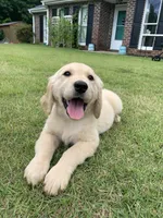 processed/4004ae9b-7163-4a90-86b9-ac7768e440f4/facility/64a4e09a-67a3-4b65-af52-9fc54abe727b