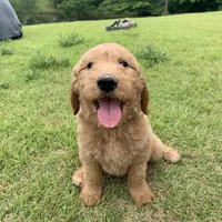 processed/4004ae9b-7163-4a90-86b9-ac7768e440f4/facility/76886446-034d-4099-a08a-cbb204c8aec1