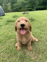 processed/4004ae9b-7163-4a90-86b9-ac7768e440f4/facility/76886446-034d-4099-a08a-cbb204c8aec1