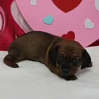 processed/40072e1d-5f08-4585-b474-f262802906f7/listing/0eab5b86-a284-41f3-9796-140d6063040d/0a1c9cd0-e7dd-4a79-a089-a4bde0116a50