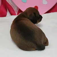 processed/40072e1d-5f08-4585-b474-f262802906f7/listing/0eab5b86-a284-41f3-9796-140d6063040d/36046fd4-f92a-470b-9f53-3de192238027