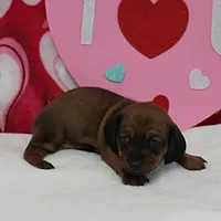 processed/40072e1d-5f08-4585-b474-f262802906f7/listing/0eab5b86-a284-41f3-9796-140d6063040d/6349f2d0-a941-4d45-811e-ac97d6017a03