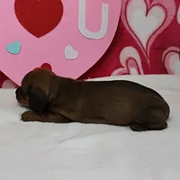 processed/40072e1d-5f08-4585-b474-f262802906f7/listing/0eab5b86-a284-41f3-9796-140d6063040d/6514b07c-08ed-435b-a4f7-dedba8e9c510