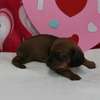 processed/40072e1d-5f08-4585-b474-f262802906f7/listing/0eab5b86-a284-41f3-9796-140d6063040d/cded38e7-8b36-4a68-bece-63113121f38e