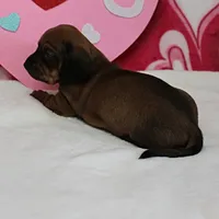 processed/40072e1d-5f08-4585-b474-f262802906f7/listing/0eab5b86-a284-41f3-9796-140d6063040d/d2aa4d34-9481-4014-9964-a208d05ed52d