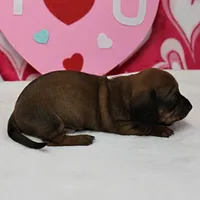 processed/40072e1d-5f08-4585-b474-f262802906f7/listing/0eab5b86-a284-41f3-9796-140d6063040d/de3fae21-0aac-478b-9749-752db807d601