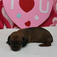 processed/40072e1d-5f08-4585-b474-f262802906f7/listing/0eab5b86-a284-41f3-9796-140d6063040d/e20cd0e1-0490-4025-996e-ece1eb18c353