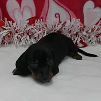 processed/40072e1d-5f08-4585-b474-f262802906f7/listing/15a45b29-dd6f-4bc0-8df6-948ab3e4018c/33dcb96b-a822-4b77-8eed-3a7d9011e53f