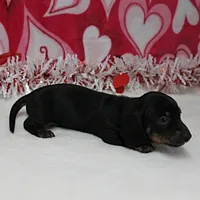 processed/40072e1d-5f08-4585-b474-f262802906f7/listing/15a45b29-dd6f-4bc0-8df6-948ab3e4018c/9f4ddf36-080a-4cd8-8152-a77a66a3c9ce