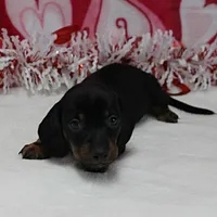 processed/40072e1d-5f08-4585-b474-f262802906f7/listing/15a45b29-dd6f-4bc0-8df6-948ab3e4018c/a4b3677c-3927-4ff9-93d3-54f54733837c