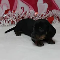 processed/40072e1d-5f08-4585-b474-f262802906f7/listing/15a45b29-dd6f-4bc0-8df6-948ab3e4018c/d32d8747-5a55-49d7-b3ed-64d5f44be8a5