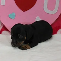 processed/40072e1d-5f08-4585-b474-f262802906f7/listing/5a6ed7b2-0351-4493-9fa7-b9cbef1e0278/3ebc4082-6fe5-48ea-afd9-b3f1e4775008