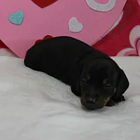 processed/40072e1d-5f08-4585-b474-f262802906f7/listing/5a6ed7b2-0351-4493-9fa7-b9cbef1e0278/45b0de42-df25-4672-8e4d-faef630c0c2c