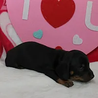 processed/40072e1d-5f08-4585-b474-f262802906f7/listing/5a6ed7b2-0351-4493-9fa7-b9cbef1e0278/496a37d1-7569-41c7-91b8-5f57263b2b81