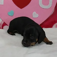 processed/40072e1d-5f08-4585-b474-f262802906f7/listing/5a6ed7b2-0351-4493-9fa7-b9cbef1e0278/67270bb9-75ea-4651-8294-7c7c8ea9b50e