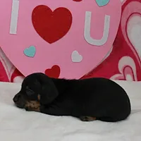 processed/40072e1d-5f08-4585-b474-f262802906f7/listing/5a6ed7b2-0351-4493-9fa7-b9cbef1e0278/9046cac6-fead-478c-a2ba-b3260794ec36