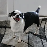 processed/40072e1d-5f08-4585-b474-f262802906f7/listing/c1af2882-4aa3-4330-83cd-387b5eccc2bd/4710f8e6-7c99-4d01-a072-41a3bd9da982