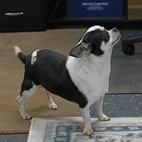 processed/40072e1d-5f08-4585-b474-f262802906f7/listing/c1af2882-4aa3-4330-83cd-387b5eccc2bd/70193656-2997-4fed-9d92-b1725e1ba619