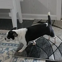 processed/40072e1d-5f08-4585-b474-f262802906f7/listing/c1af2882-4aa3-4330-83cd-387b5eccc2bd/77304378-1da3-4ad8-b41e-cab915ef690a