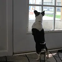 processed/40072e1d-5f08-4585-b474-f262802906f7/listing/c1af2882-4aa3-4330-83cd-387b5eccc2bd/8efa27c9-76d6-4f2b-bccc-2e49cf9c8712