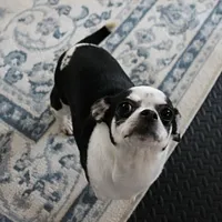 processed/40072e1d-5f08-4585-b474-f262802906f7/listing/c1af2882-4aa3-4330-83cd-387b5eccc2bd/fc029e3e-9095-4f2e-a1c3-b031eeb86210