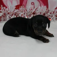 processed/40072e1d-5f08-4585-b474-f262802906f7/listing/ee8dead1-d3b7-4f95-8655-8e5c29609b98/0d9ea654-2abd-4b00-a86a-0b31c03deb2a