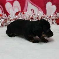 processed/40072e1d-5f08-4585-b474-f262802906f7/listing/ee8dead1-d3b7-4f95-8655-8e5c29609b98/3979e481-72d9-43da-a55f-800b4d043483