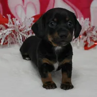 processed/40072e1d-5f08-4585-b474-f262802906f7/listing/ee8dead1-d3b7-4f95-8655-8e5c29609b98/8d00db56-93b1-44ba-a5ee-6293183d566d