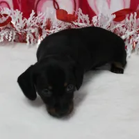 processed/40072e1d-5f08-4585-b474-f262802906f7/listing/ee8dead1-d3b7-4f95-8655-8e5c29609b98/a6bad06b-0cdc-4b2d-9e45-3e193b2bdac5