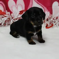 processed/40072e1d-5f08-4585-b474-f262802906f7/listing/ee8dead1-d3b7-4f95-8655-8e5c29609b98/b81708b9-08bd-4a05-afbc-5ffa0c753860