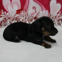 processed/40072e1d-5f08-4585-b474-f262802906f7/listing/ee8dead1-d3b7-4f95-8655-8e5c29609b98/bdfdb808-8423-4b4a-86b6-8a631fc4a543