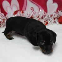 processed/40072e1d-5f08-4585-b474-f262802906f7/listing/ee8dead1-d3b7-4f95-8655-8e5c29609b98/cdc825d3-a16f-4feb-8ee1-bf979f724e8a