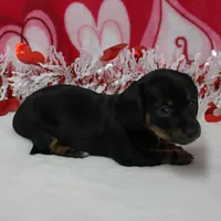 processed/40072e1d-5f08-4585-b474-f262802906f7/listing/ee8dead1-d3b7-4f95-8655-8e5c29609b98/f370aa52-3173-4f34-8291-9e9b8292ec6e