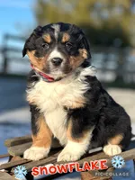 processed/40090257-889a-4871-bcb4-0306c2138971/listing/131a30ce-2277-43ac-92e4-380cd5c57a09/2ff437dc-2e68-47ed-a4d0-cf9be429fa4e