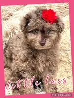 processed/40090257-889a-4871-bcb4-0306c2138971/listing/2f56cae0-1ee4-448c-afcb-e1b06ed2e055/5eb330f1-b31d-432b-a0db-2c5bc5000498