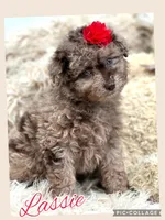 processed/40090257-889a-4871-bcb4-0306c2138971/listing/2f56cae0-1ee4-448c-afcb-e1b06ed2e055/96face74-2489-4cfe-8805-1f17399709e9