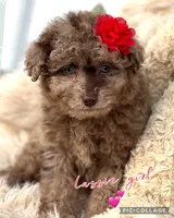 processed/40090257-889a-4871-bcb4-0306c2138971/listing/2f56cae0-1ee4-448c-afcb-e1b06ed2e055/b60cecfe-8e2a-4477-b0d2-30ee07b6f564