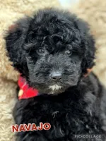 processed/40090257-889a-4871-bcb4-0306c2138971/listing/55af6380-5afc-4c6b-9c1a-401a83c047af/57b08ac5-bfb0-4b81-8935-29797cdfcb88