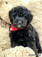 processed/40090257-889a-4871-bcb4-0306c2138971/listing/55af6380-5afc-4c6b-9c1a-401a83c047af/d1a94e68-a6b6-49b1-a97a-d23726ee1a21