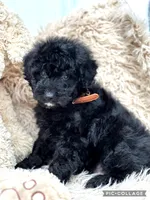 processed/40090257-889a-4871-bcb4-0306c2138971/listing/55af6380-5afc-4c6b-9c1a-401a83c047af/df66fdca-a481-4183-9072-686c41f01920