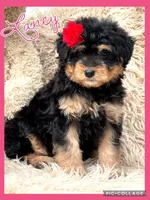 processed/40090257-889a-4871-bcb4-0306c2138971/listing/bb766f17-da24-4851-a099-761a79698f80/30300392-9e6b-4847-af4f-252db8663f89