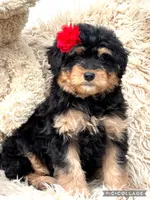 processed/40090257-889a-4871-bcb4-0306c2138971/listing/bb766f17-da24-4851-a099-761a79698f80/e5e7bb75-ccc8-4cdb-a5d0-2ac8166fc830