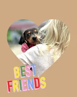 Sunflower, a female Miniature Dachshund for sale in Holmesville, OH – Photo 7 of 10