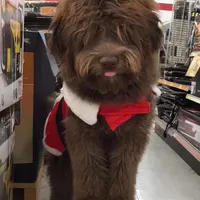 processed/4018cf37-581e-4830-9140-6fa927f75c31/facility/caa90532-c5b9-4d0a-969a-fea0e4867fb0