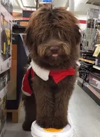 processed/4018cf37-581e-4830-9140-6fa927f75c31/facility/caa90532-c5b9-4d0a-969a-fea0e4867fb0