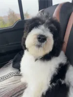 processed/4018cf37-581e-4830-9140-6fa927f75c31/listing/18a54100-aa1d-44b0-ad16-c5c2053d04ac/2fc4711f-1bee-414c-bc88-a10af6e9f0a7