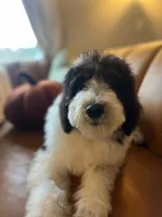 processed/4018cf37-581e-4830-9140-6fa927f75c31/listing/18a54100-aa1d-44b0-ad16-c5c2053d04ac/ed813a40-f8d5-41a6-ba83-0666c75ffe35